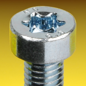 image of Torx Cap Screws With Low Head ISO 14580