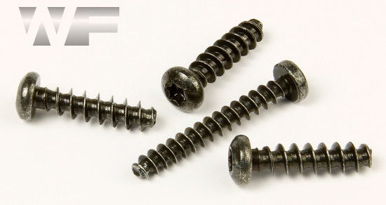 Torx Pan Thread Forming Screws for Plastics, 30 Degree Thread in BlackZP image