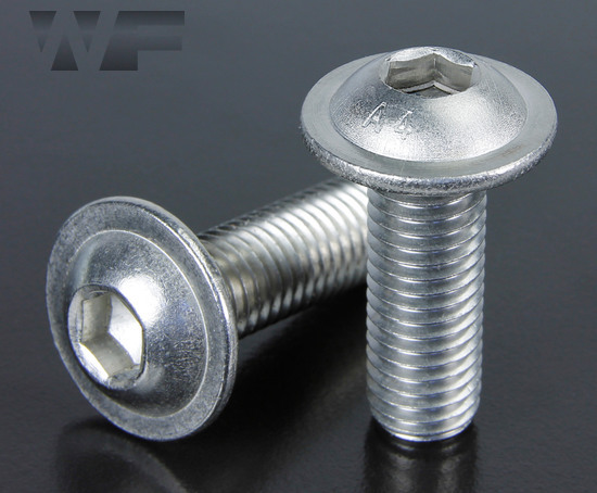 Socket Head Button Screws With Flange ISO 7380 part 2 in A4 image