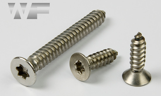 Torx Csk Self Tapping Screws Type C (AB) in A4 image