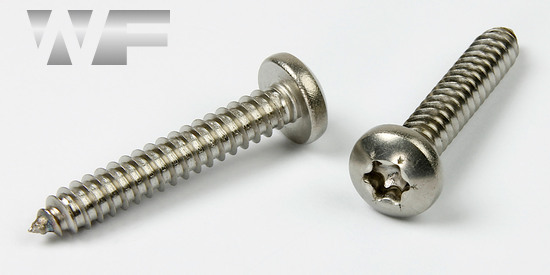 Torx Pan Head Self Tapping Screws Type C (AB) in A4 image